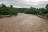 Filename : muddy.jpg
Filesize : 8KB
Dimensions : 275x183
Date added : Jan 17, 2021 muddy.jpg