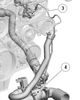 Filename : 247EAB7A-2CAB-47D5-AB65-47E0A541F1F0.jpeg
Filesize : 218KB
Dimensions : 1230x1536
Date added : Mar 29, 2022 247EAB7A-2CAB-47D5-AB65-47E0A541F1F0.jpeg