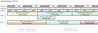 Filename : 37A455B4-8C83-487E-B25D-52355559B2D2.jpeg
Filesize : 126KB
Dimensions : 2048x690
Date added : Sep 15, 2020 37A455B4-8C83-487E-B25D-52355559B2D2.jpeg
