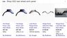 Filename : 7D74768A-C8DB-44BC-A589-92FC682F55C7.jpeg
Filesize : 252KB
Dimensions : 1750x997
Date added : Dec 13, 2021 7D74768A-C8DB-44BC-A589-92FC682F55C7.jpeg