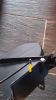 Filename : IMAG3234.jpg
Filesize : 224KB
Dimensions : 1154x2048
Date added : Sep 19, 2014 IMAG3234.jpg