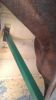 Filename : IMAG4066.jpg
Filesize : 309KB
Dimensions : 1154x2048
Date added : Aug 13, 2015 IMAG4066.jpg