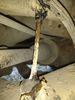 Filename : IMG_20191209_091324827~0.jpg
Filesize : 361KB
Dimensions : 1536x2048
Date added : Dec 09, 2019 IMG_20191209_091324827~0.jpg