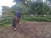 Filename : blackberry 023.jpg
Filesize : 857KB
Dimensions : 2048x1536
Date added : Nov 11, 2014 blackberry 023.jpg