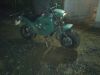 Filename : hippo.jpg
Filesize : 887KB
Dimensions : 2048x1536
Date added : Apr 07, 2016 hippo.jpg