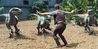 Filename : horsesgate.jpg
Filesize : 128KB
Dimensions : 960x479
Date added : Feb 21, 2022 horsesgate.jpg