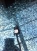 Filename : image~29.jpg
Filesize : 682KB
Dimensions : 1530x2048
Date added : Feb 27, 2014 image~29.jpg