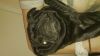 Filename : DSC_0129.JPG
Filesize : 320KB
Dimensions : 2048x1151
Date added : Apr 03, 2014 DSC_0129.JPG