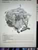 Filename : 0B4CB5D4-7BB0-45D8-80E3-D7A5F3C1756A.jpeg
Filesize : 436KB
Dimensions : 1536x2048
Date added : Jan 02, 2022 0B4CB5D4-7BB0-45D8-80E3-D7A5F3C1756A.jpeg