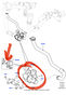 Filename : IMG_0075.jpeg
Filesize : 205KB
Dimensions : 1255x2048
Date added : Jan 23, 2025 IMG_0075.jpeg