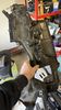 Filename : IMG_0298.jpeg
Filesize : 292KB
Dimensions : 1152x2048
Date added : Mar 01, 2025 IMG_0298.jpeg