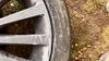 IMG_1566.jpeg