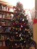 Filename : image~31.jpg
Filesize : 323KB
Dimensions : 1536x2048
Date added : Dec 31, 2013 image~31.jpg