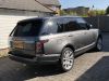 Filename : IMG_8230.jpg
Filesize : 467KB
Dimensions : 2048x1536
Date added : May 10, 2018 IMG_8230.jpg