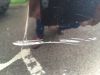 Filename : photo 1-1.JPG
Filesize : 72KB
Dimensions : 640x480
Date added : Jun 13, 2014 photo 1-1.JPG