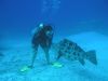 Filename : image~18.jpg
Filesize : 139KB
Dimensions : 960x720
Date added : Jun 18, 2013 image~18.jpg