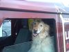 Ben in Land Rover at Matfords 1.JPG