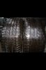 Filename : image~1.jpg
Filesize : 136KB
Dimensions : 640x960
Date added : Nov 05, 2013 image~1.jpg
