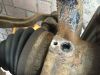 Filename : IMG_3887.JPG
Filesize : 443KB
Dimensions : 2048x1536
Date added : Dec 05, 2017 IMG_3887.JPG