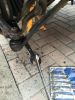 Filename : IMG_3900.JPG
Filesize : 604KB
Dimensions : 1536x2048
Date added : Dec 29, 2016 IMG_3900.JPG