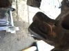 Filename : IMG_3922.JPG
Filesize : 346KB
Dimensions : 2048x1536
Date added : Oct 04, 2016 IMG_3922.JPG