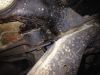 Filename : rear suspensiom 004.jpg
Filesize : 458KB
Dimensions : 2048x1536
Date added : Dec 25, 2016 rear suspensiom 004.jpg