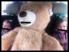 Filename : edit bear.jpg
Filesize : 471KB
Dimensions : 2048x1540
Date added : May 02, 2014 edit bear.jpg