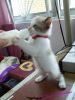 Filename : pic9~0.jpg
Filesize : 55KB
Dimensions : 453x604
Date added : Dec 01, 2014 pic9~0.jpg
