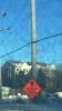 Filename : sign9.jpg
Filesize : 49KB
Dimensions : 350x622
Date added : May 14, 2014 sign9.jpg