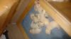 Filename : 14840913980281002390673.jpg
Filesize : 218KB
Dimensions : 2048x1152
Date added : Jan 10, 2017 14840913980281002390673.jpg