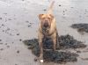 Filename : image~18.jpg
Filesize : 243KB
Dimensions : 942x706
Date added : May 31, 2014 image~18.jpg