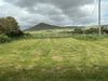 IMG_3300.JPEG