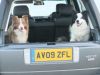 Filename : DSCF3495.JPG
Filesize : 485KB
Dimensions : 2048x1536
Date added : Nov 14, 2014 DSCF3495.JPG
