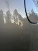 IMG_9012.jpeg
