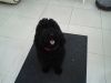Filename : 20141001_153357.jpg
Filesize : 680KB
Dimensions : 2048x1536
Date added : Oct 01, 2014 20141001_153357.jpg