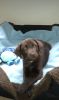 Filename : 20150904_143505 (1).jpg
Filesize : 241KB
Dimensions : 1228x2048
Date added : Oct 16, 2016 20150904_143505 (1).jpg