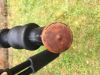 Filename : IMG_8511.JPG
Filesize : 314KB
Dimensions : 2048x1536
Date added : May 09, 2017 IMG_8511.JPG