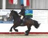 Filename : Chris cantering.jpg
Filesize : 365KB
Dimensions : 2048x1641
Date added : Jul 13, 2016 Chris cantering.jpg