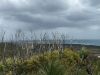 Filename : IMG_0066.jpg
Filesize : 539KB
Dimensions : 2048x1536
Date added : Dec 29, 2014 IMG_0066.jpg