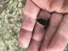 Filename : IMG_0780.JPG
Filesize : 344KB
Dimensions : 2048x1536
Date added : Jul 23, 2017 IMG_0780.JPG