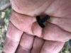 Filename : IMG_0781.JPG
Filesize : 306KB
Dimensions : 2048x1536
Date added : Jul 23, 2017 IMG_0781.JPG