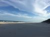 Filename : IMG_1097.JPG
Filesize : 209KB
Dimensions : 2048x1536
Date added : Jan 16, 2017 IMG_1097.JPG