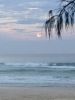 Filename : IMG_1128.JPG
Filesize : 240KB
Dimensions : 1536x2048
Date added : Jan 20, 2017 IMG_1128.JPG