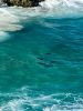Filename : IMG_1150.JPG
Filesize : 376KB
Dimensions : 1536x2048
Date added : Jan 16, 2017 IMG_1150.JPG
