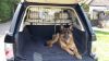 Filename : 20150425_153651.jpg
Filesize : 318KB
Dimensions : 2048x1152
Date added : Apr 25, 2015 20150425_153651.jpg