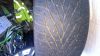 Filename : image~2.jpeg
Filesize : 284KB
Dimensions : 2048x1152
Date added : Feb 08, 2016 image~2.jpeg