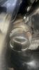 IMG_1310.jpeg