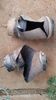 Filename : 20220717_162204.jpg
Filesize : 99KB
Dimensions : 576x1024
Date added : Jul 23, 2022 20220717_162204.jpg