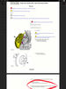 Filename : 8622B85B-02BD-43B0-A9AE-B7FF5CB57273.jpeg
Filesize : 204KB
Dimensions : 1536x2048
Date added : Apr 17, 2021 8622B85B-02BD-43B0-A9AE-B7FF5CB57273.jpeg