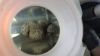 Filename : 20170324_095617.jpg
Filesize : 239KB
Dimensions : 2048x1152
Date added : Mar 24, 2017 20170324_095617.jpg
